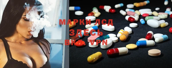 стаф Вяземский