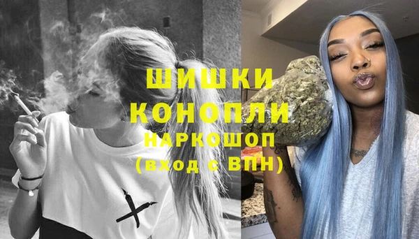 стаф Вяземский