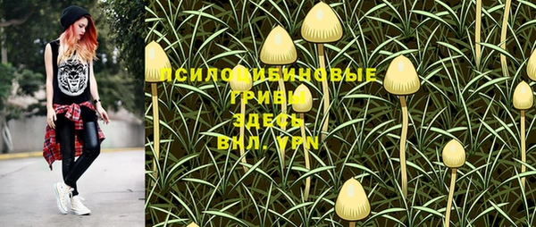 бутират Вязники