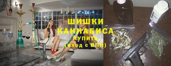 стаф Вяземский