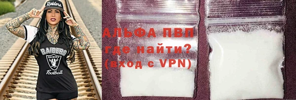 стаф Вяземский