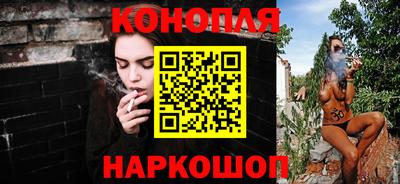 прущие грибы Заводоуковск