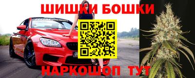 прущие грибы Заводоуковск
