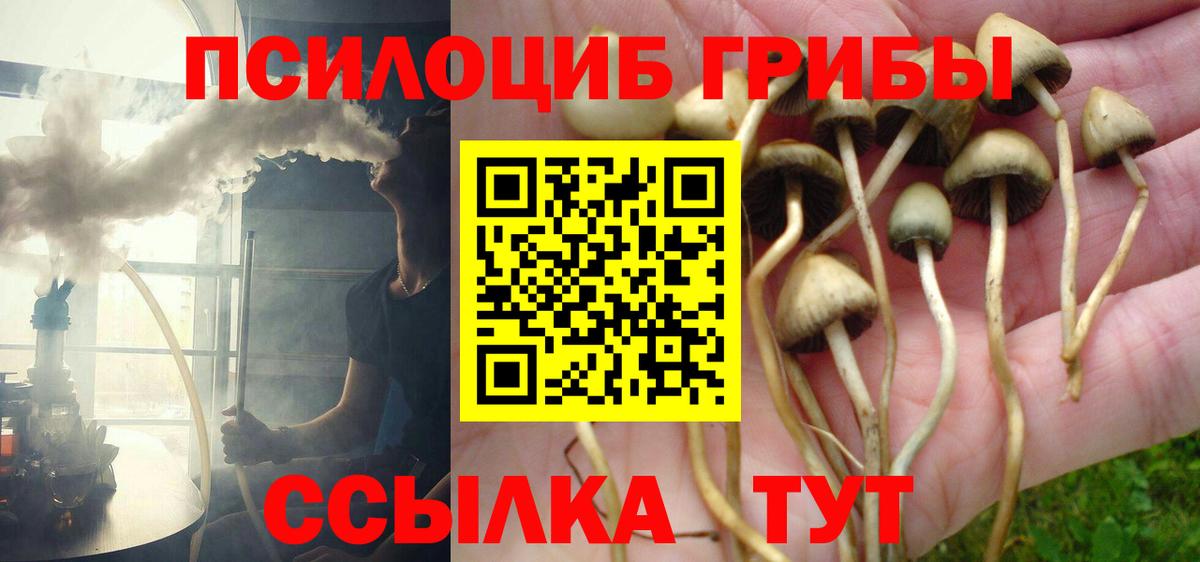 Псилоцибиновые грибы мицелий  Вход с VPN  Пенза 
